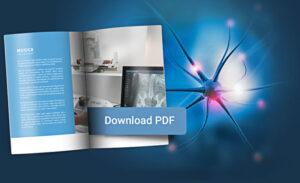 Musica pdf